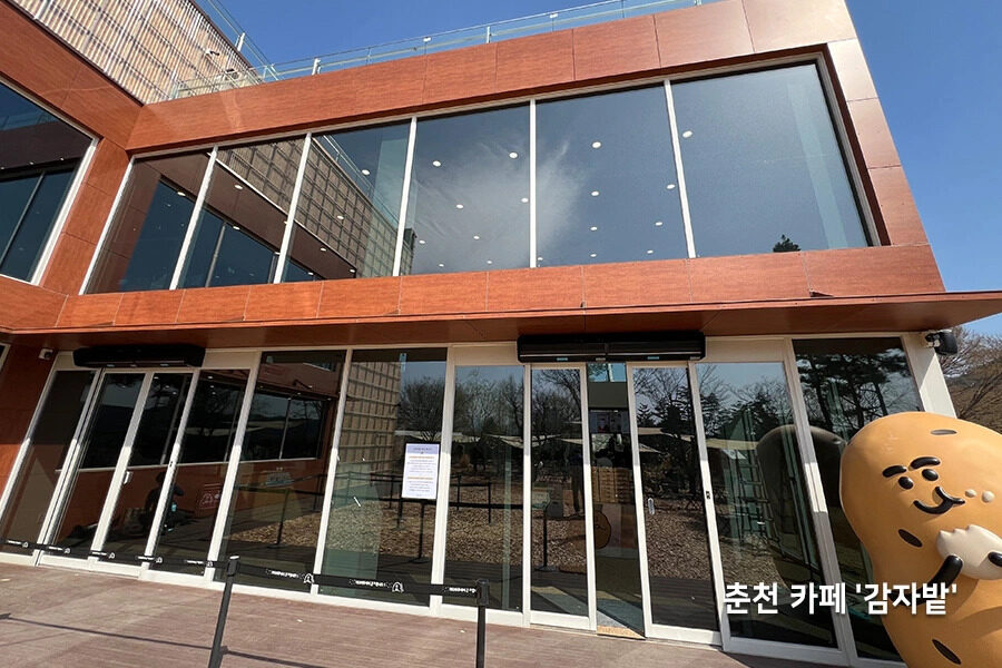 소나무 캐릭터 조형물이 놓인 마당과 2층 높이 통유리 파사드를 가진 대형 카페 건물 외관